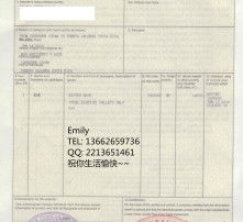 高清圖片代理服務詳解 提升視覺體驗的專業(yè)解決方案